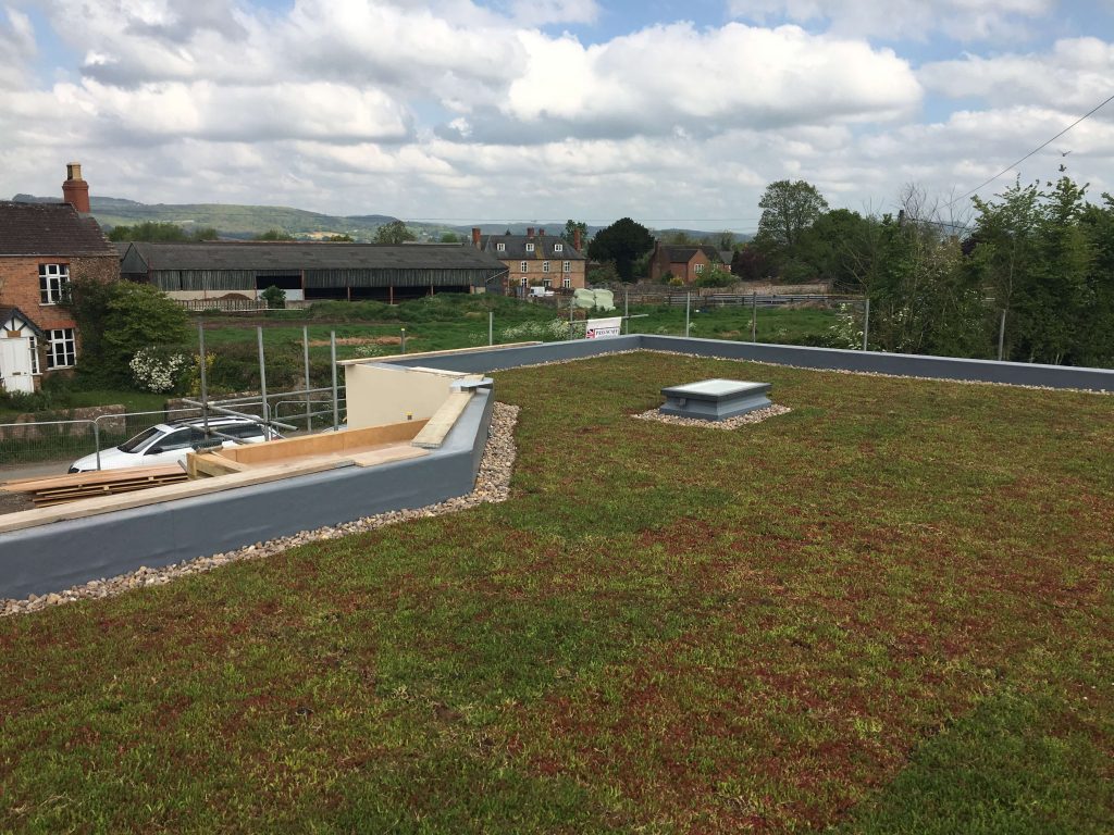 Sedum Roof
